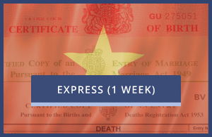 Vietnam Embassy Only - Express